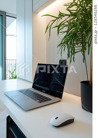 A laptop is open on a desk with a mouse and a potted plant in the background 128548266