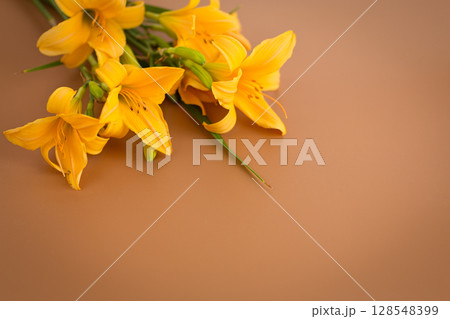 Graceful lilies in warm modern flower scene 128548399
