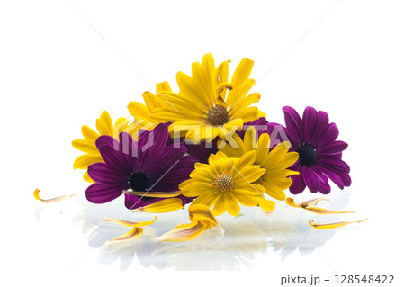 Petals and bright flowers on white background 128548422