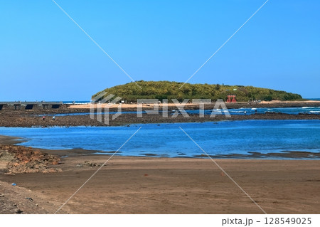 【宮崎県】青島海岸から見た青島と鬼の洗濯板(青島神社と鳥居) 【宮崎県】青島海岸から見た青島と鬼の洗濯板(青島神社と鳥居) 128549025