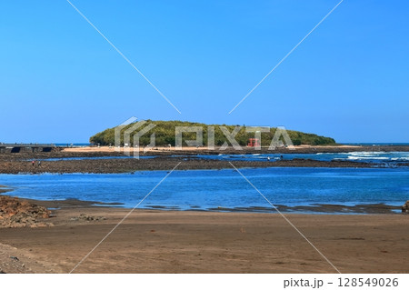【宮崎県】青島海岸から見た青島と鬼の洗濯板(青島神社と鳥居) 【宮崎県】青島海岸から見た青島と鬼の洗濯板(青島神社と鳥居) 128549026