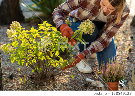 Woman in plaid shirt looking busy while planting yellow flowers in the garden Woman in plaid shirt looking busy while planting yellow flowers in the garden 128549128