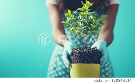 Female Gardener Repotting New House Plant And Transferring To A Larger Pot Female Gardener Repotting New House Plant And Transferring To A Larger Pot 128549134