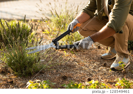 Man working in the cottage garden and planting the flowers 128549461