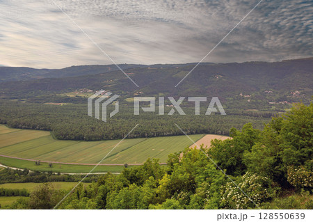 Motovun area vineyards and village views, Istria, Croatia. Motovun area vineyards and village views, Istria, Croatia. 128550639