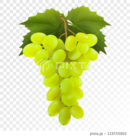 Bunch of yellow or green grapes with vine leaves isolated on transparent background. Cluster of grape. Realistic, fresh, natural food, dessert. 3d vector illustration for agriculture design. 128550802
