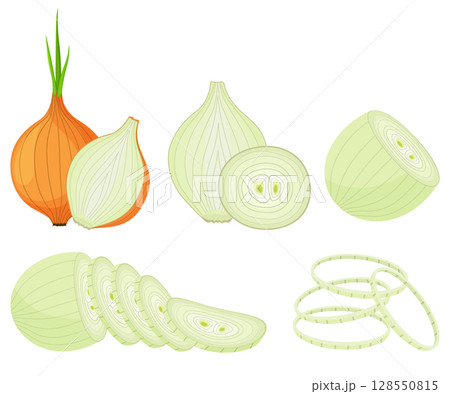 Vector onion isolated on white. Half, slice and onion rings. Vector icon. Cartoon brown or yellow onions set, Fresh farm market vegetables. 128550815