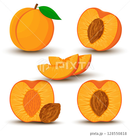 An image of a peach from different directions. Vector illustration in a flat style. Whole, half and sliced peach with bone. 128550818