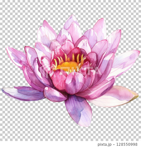 Graceful lotus bloom with watercolor texture and visible brushstrokes, white isolated background. Meditation or yoga-themed botanical art 128550998