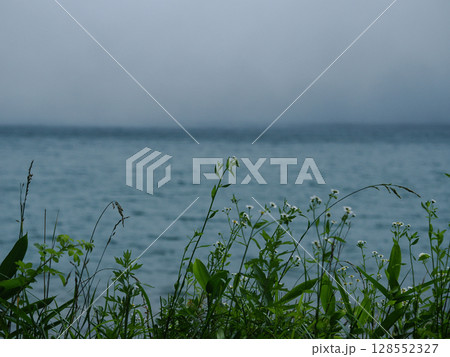 湖と草花の静かな風景 自然の癒しと涼感を感じる構図 湖と草花の静かな風景 自然の癒しと涼感を感じる構図 128552327