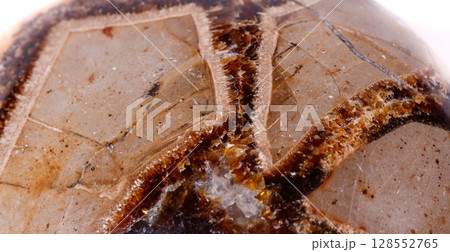 Macro mineral stone Simbirzit and Septaria on white background 128552765