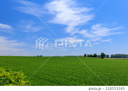 青空と畑 128553163