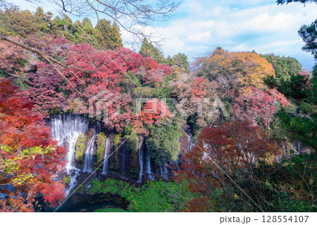 【紅葉素材】秋の富士宮市の白糸の滝・雲に見え隠れする富士山【静岡県】 128554107