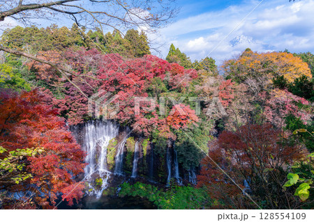 【紅葉素材】秋の富士宮市の白糸の滝・雲に見え隠れする富士山【静岡県】 【紅葉素材】秋の富士宮市の白糸の滝・雲に見え隠れする富士山【静岡県】 128554109