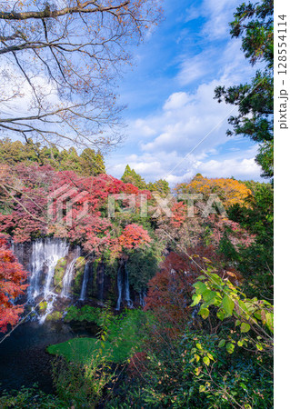 【紅葉素材】秋の富士宮市の白糸の滝・雲に見え隠れする富士山【静岡県】 128554114