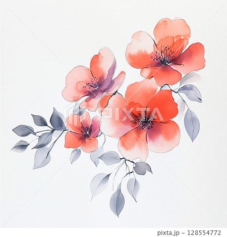 Red watercolor flowers on white background. Tender floral arrangement for holiday design 128554772