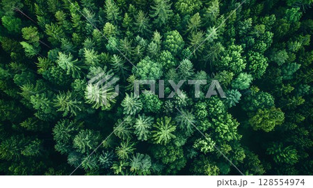 Observing a vast expanse of verdant trees in a lush forest from above 128554974