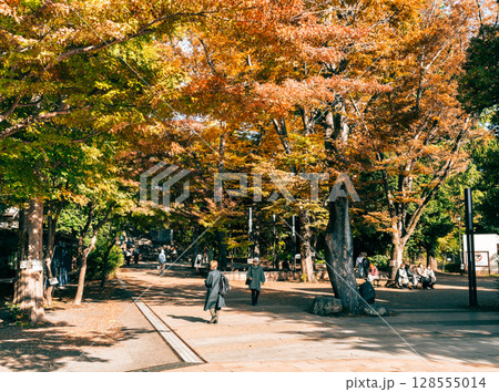 吉祥寺　秋の井の頭公園 128555014