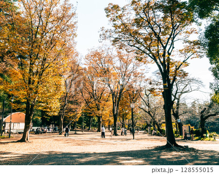 吉祥寺　秋の井の頭公園 128555015