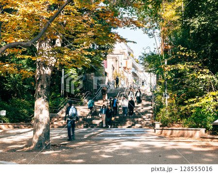 吉祥寺　秋の井の頭公園 128555016
