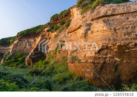 《千葉県》屏風ヶ浦の夕暮れ・千葉の天然記念物 128555618
