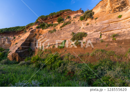 《千葉県》屏風ヶ浦の夕暮れ・千葉の天然記念物 128555620