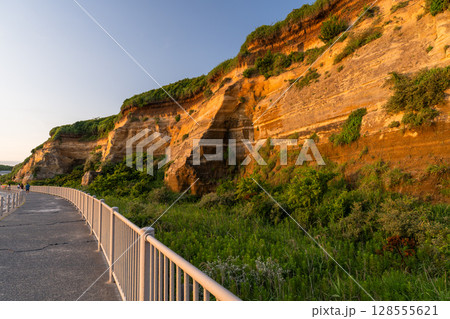 《千葉県》屏風ヶ浦の夕暮れ・千葉の天然記念物 128555621