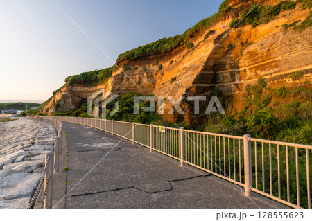 《千葉県》屏風ヶ浦の夕暮れ・千葉の天然記念物 128555623