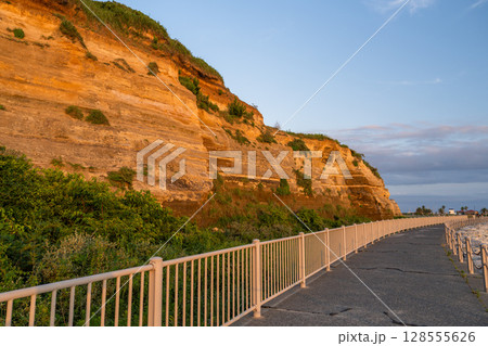 《千葉県》屏風ヶ浦の夕暮れ・千葉の天然記念物 128555626