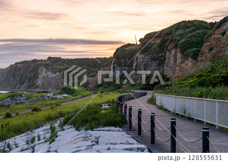 《千葉県》屏風ヶ浦の夕暮れ・千葉の天然記念物 128555631