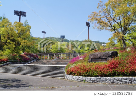 広島市広域公園の景色 広島市広域公園の景色 128555788