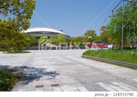 広島市広域公園の景色 広島市広域公園の景色 128555790