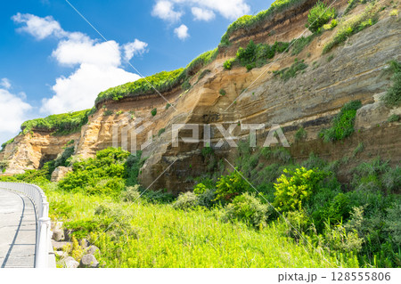 《千葉県》屏風ヶ浦・夏の青空 《千葉県》屏風ヶ浦・夏の青空 128555806