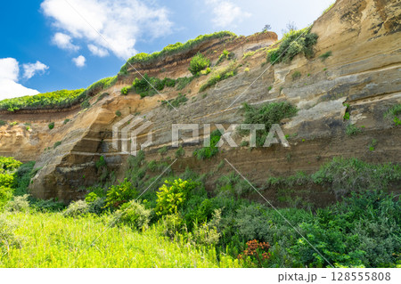 《千葉県》屏風ヶ浦・夏の青空 128555808