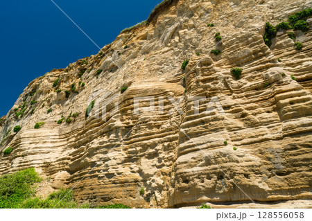 《千葉県》屏風ヶ浦・夏の青空 128556058