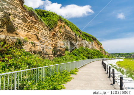 《千葉県》屏風ヶ浦・夏の青空 128556067