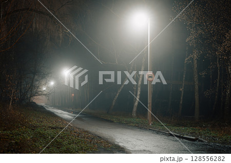Quiet nighttime road scene with wet pavement reflecting streetlights under a dense fog. 128556282