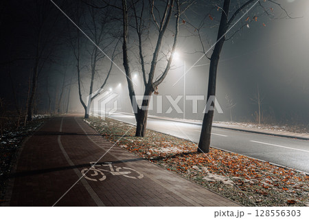 Foggy Bicycle Path with Bare Trees and Streetlights at Night 128556303