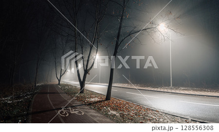 Foggy Bicycle Path with Bare Trees and Streetlights at Night 128556308
