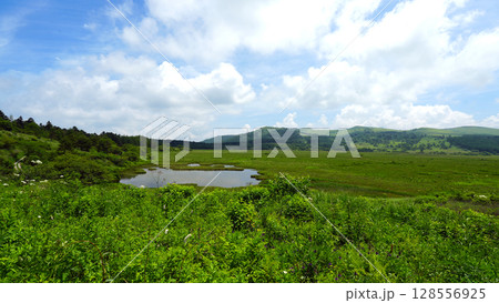 八島ヶ原湿原 128556925
