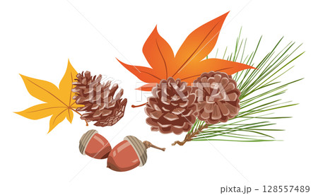 秋のイメージイラスト（松ぼっくり、どんぐり、紅葉） 128557489
