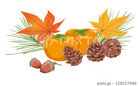 秋のイメージイラスト（松ぼっくり、どんぐり、紅葉、柿） 128557490