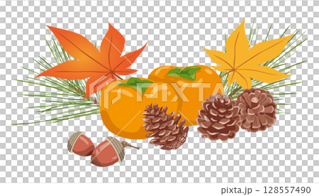 秋のイメージイラスト（松ぼっくり、どんぐり、紅葉、柿） 128557490