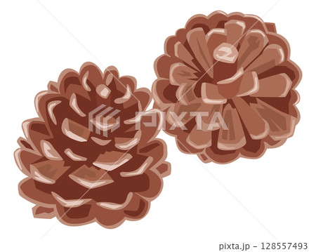 シンプルな松ぼっくりのイメージイラスト 128557493