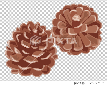 シンプルな松ぼっくりのイメージイラスト 128557493