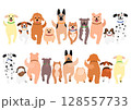 集団で散歩する犬 128557733