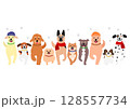 歩くかわいい犬の一列、正面、冬 128557734