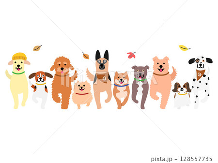 歩くかわいい犬の一列、正面、秋 128557735