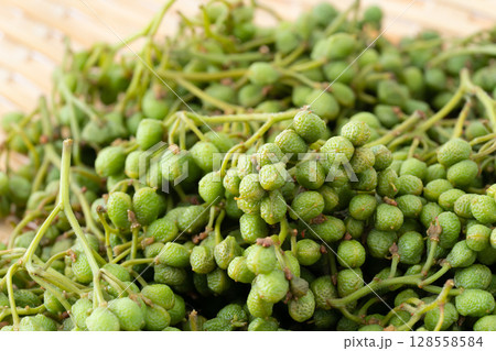 山椒の実（実山椒）のクローズアップ 128558584