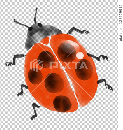 瓢蟲水墨畫插圖 瓢蟲水墨畫插圖 128559916